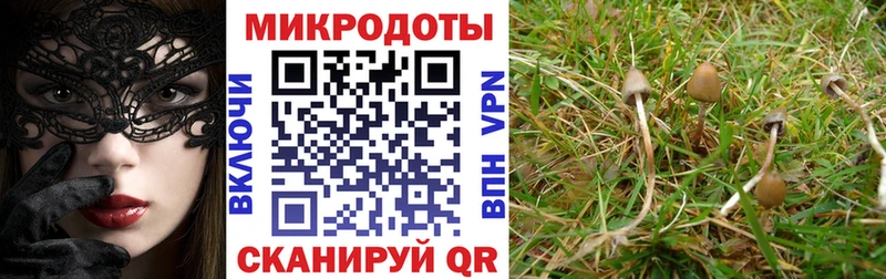 как найти   Усть-Лабинск  Галлюциногенные грибы ЛСД 